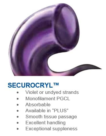 Securocryl - Squiggle and Info