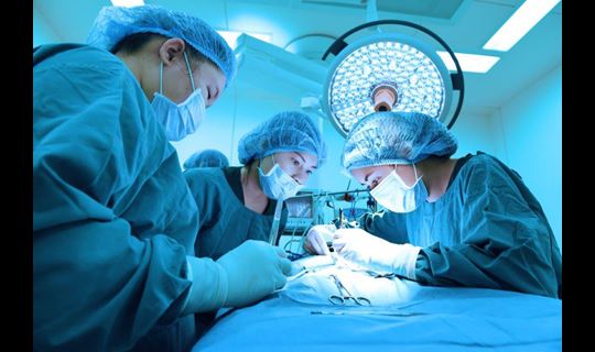 veterinary surgery