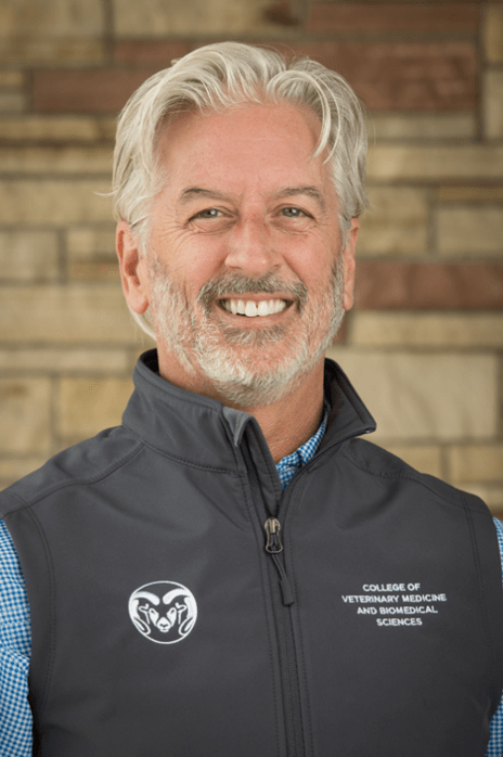 Dr. Palmer