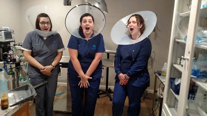 Three vet techs being funny with e-collars on