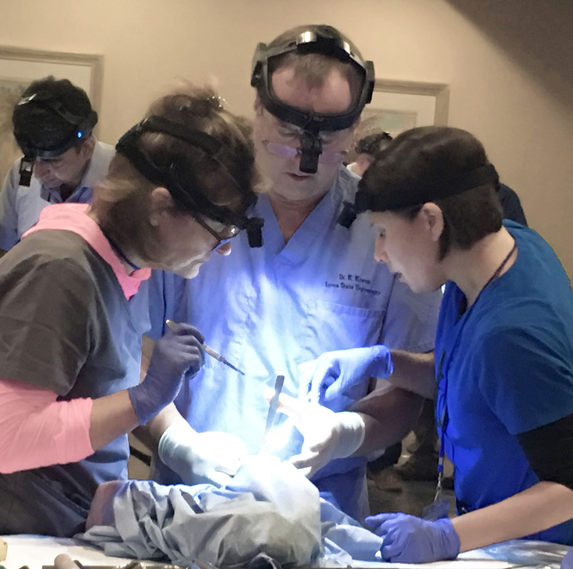 doctor teaching students