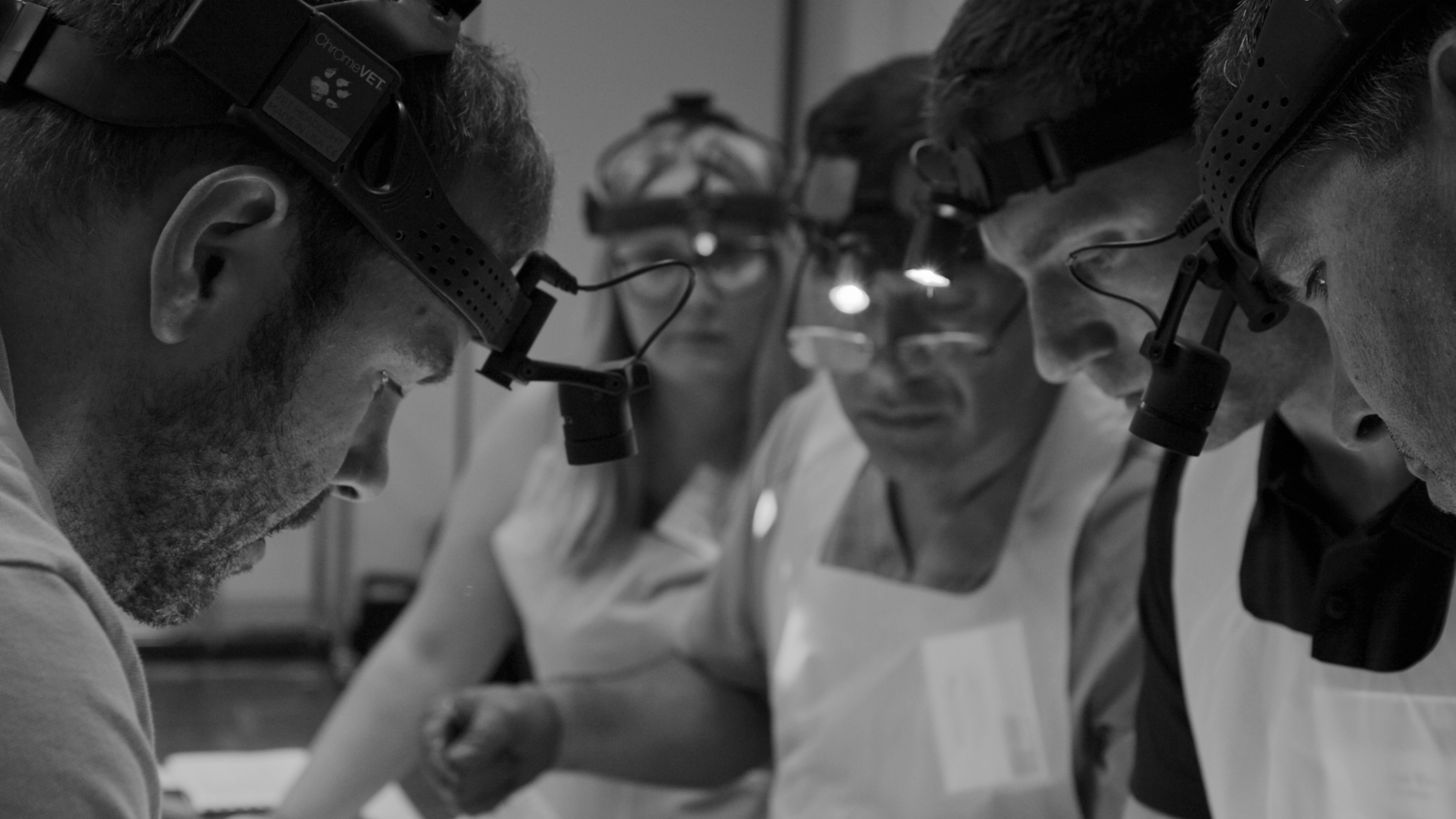 Surgeons in Wet Lab wearing headlamps