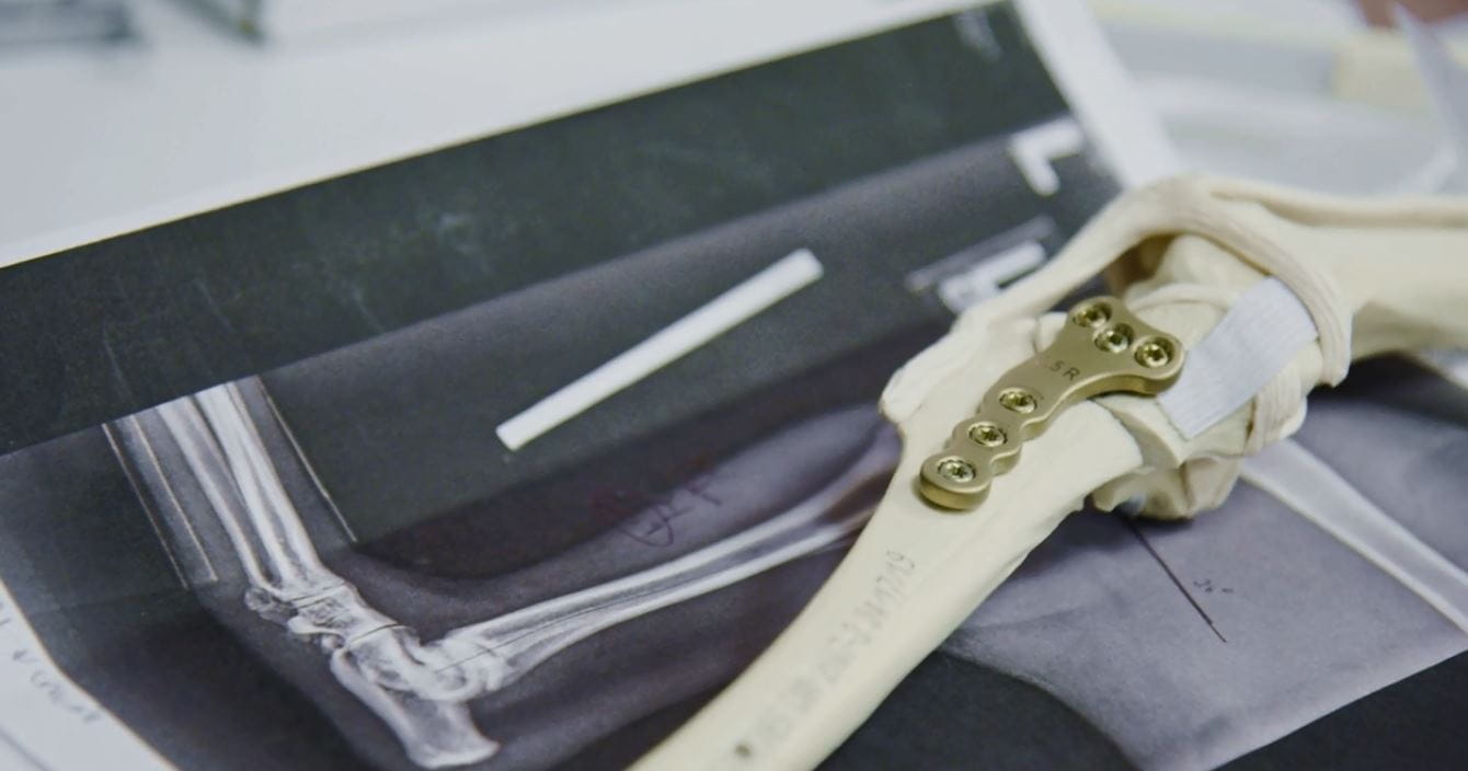 Hands-On Wet Lab CE TPLO TTA Lateral Suture Workshop